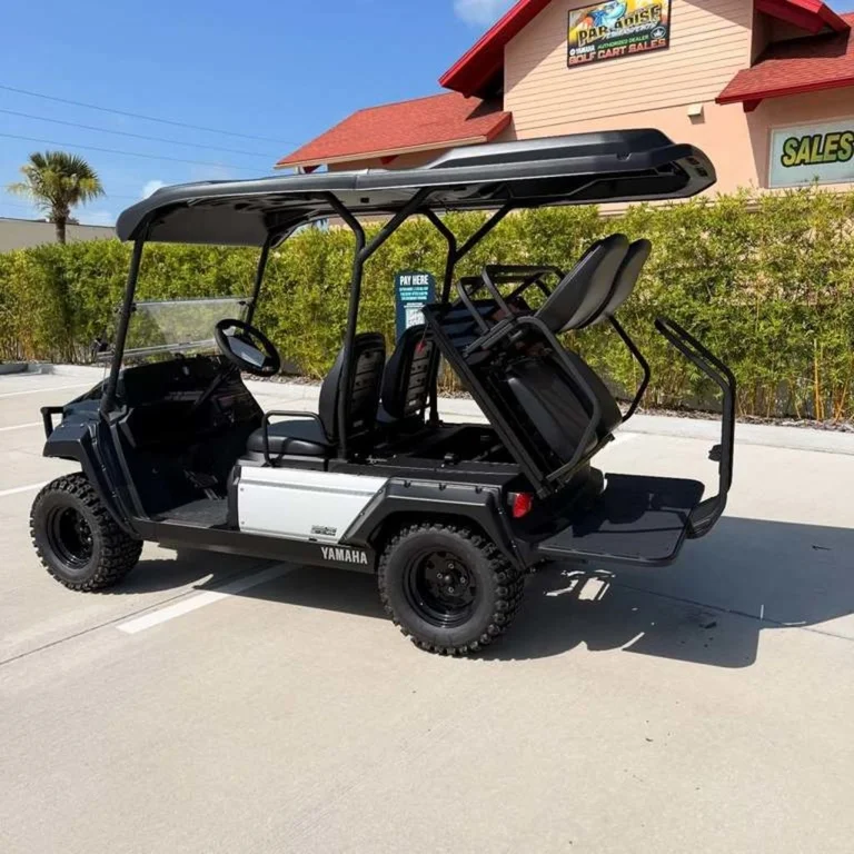 2026 Yamaha UMAX Rally 2+2 photo 6