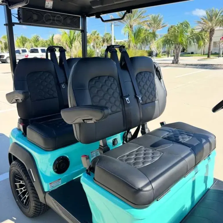 2026 Boca-EV Purebred Lowered photo 2