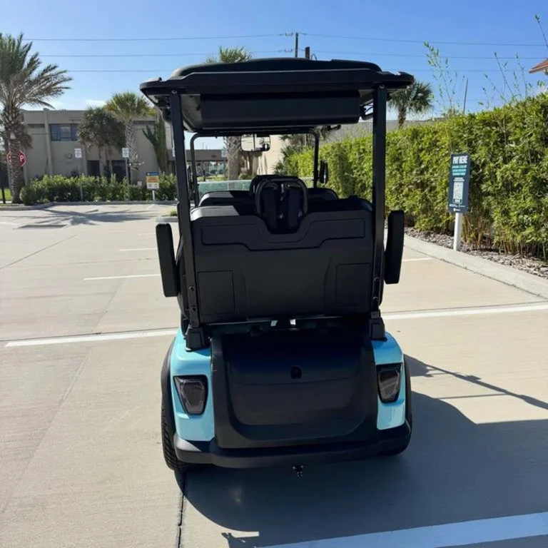 2026 Boca-EV Purebred Lifted photo 4