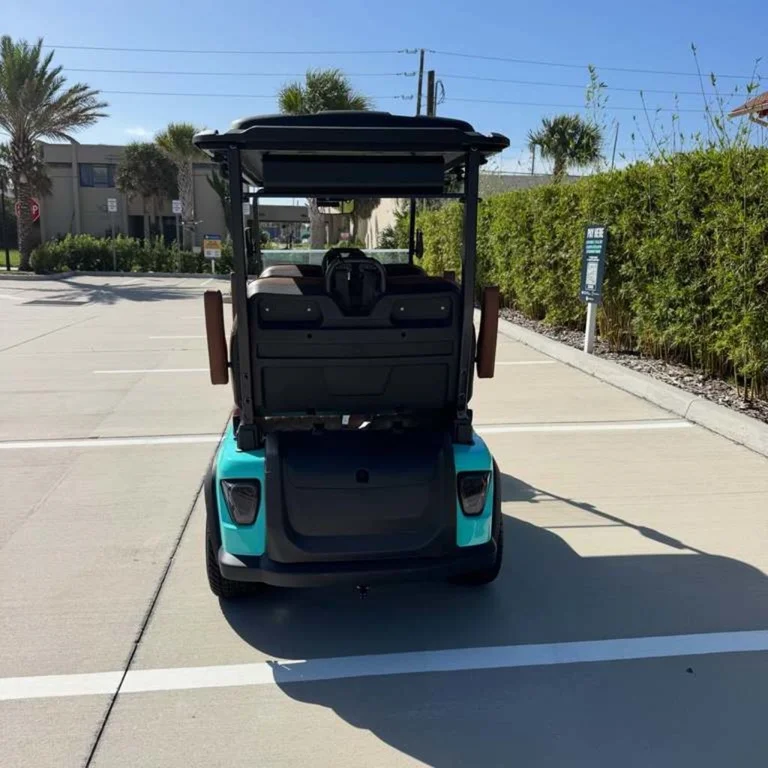 2026 Boca-EV Purebred Lifted photo 5