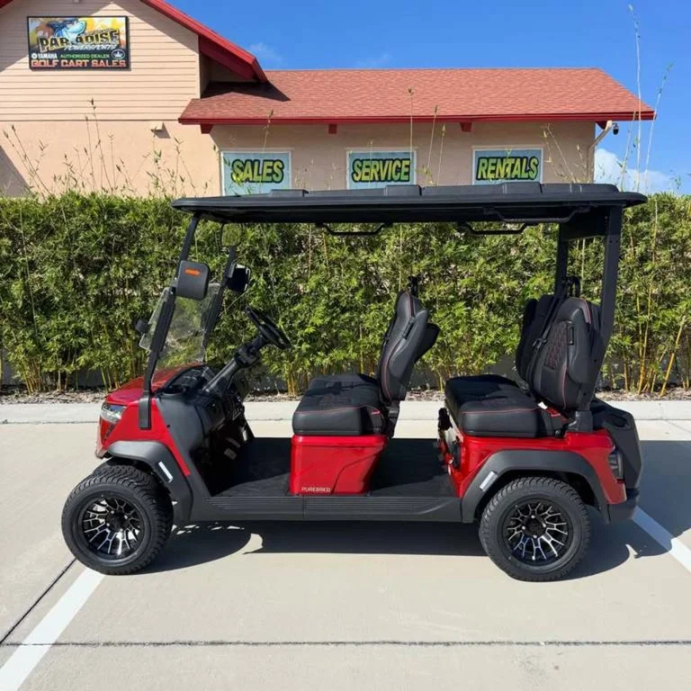 2026 Boca-EV Purebred Lifted photo 6