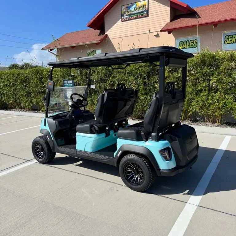2026 Boca-EV Purebred Lifted photo 5