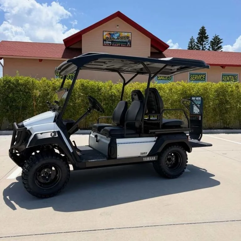 2026 Yamaha UMAX Rally 2+2 photo 9