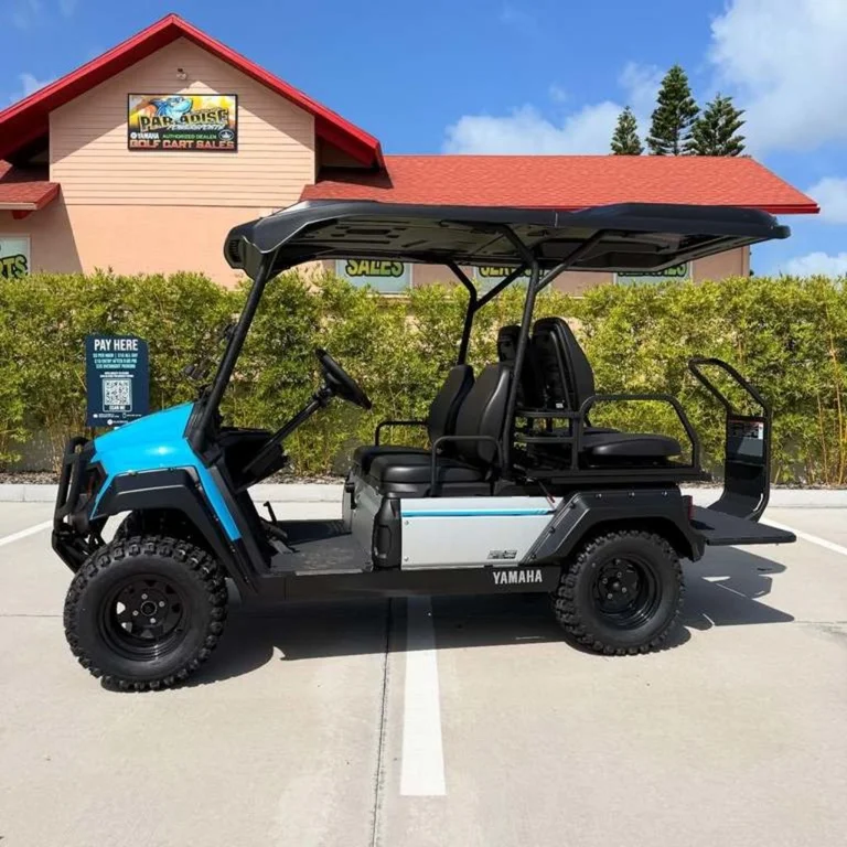 2026 Yamaha UMAX Rally 2+2 photo 8