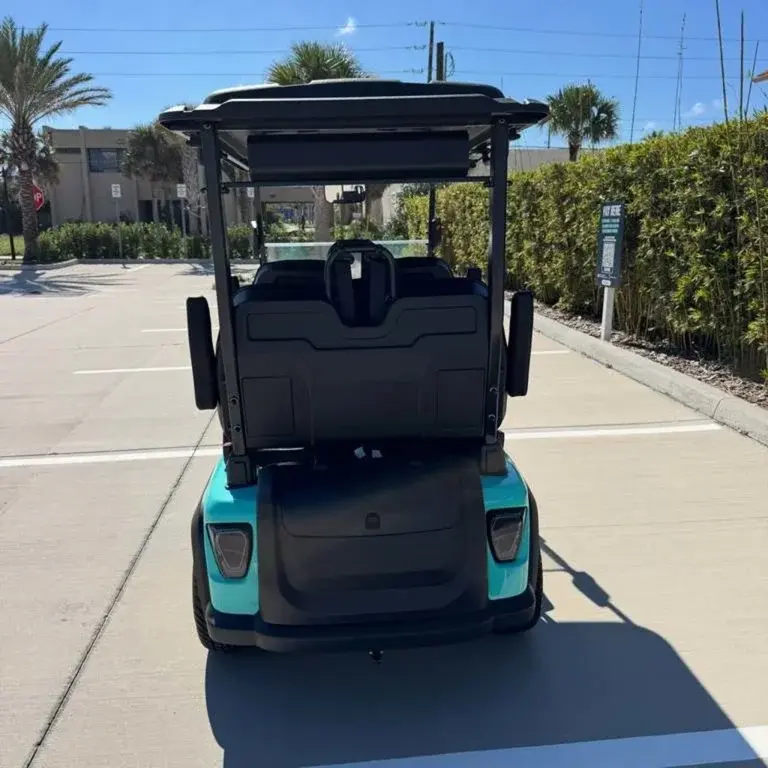 2026 Boca-EV Purebred Lowered photo 5