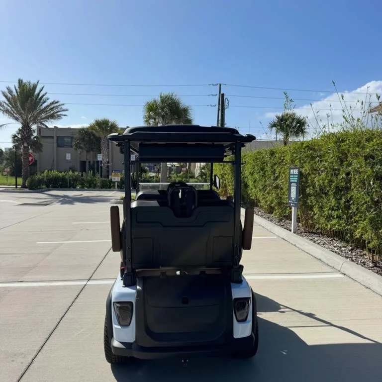 2026 Boca-EV Purebred Lifted photo 3