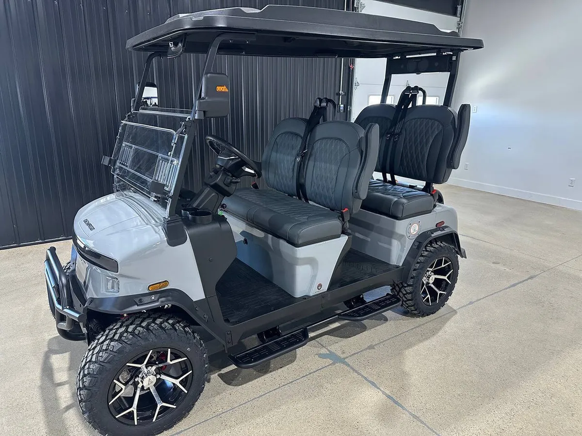 2026 Denago Rover XL photo 2