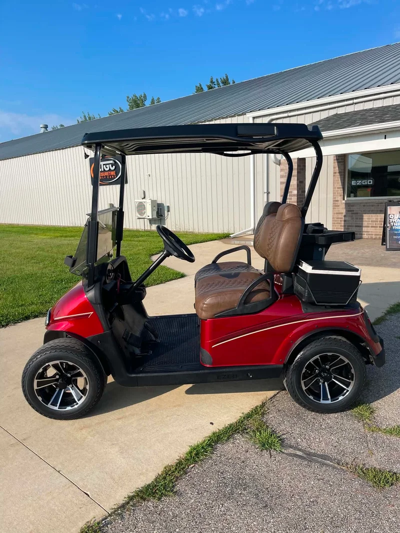 2008 E-Z-GO Freedom photo 2