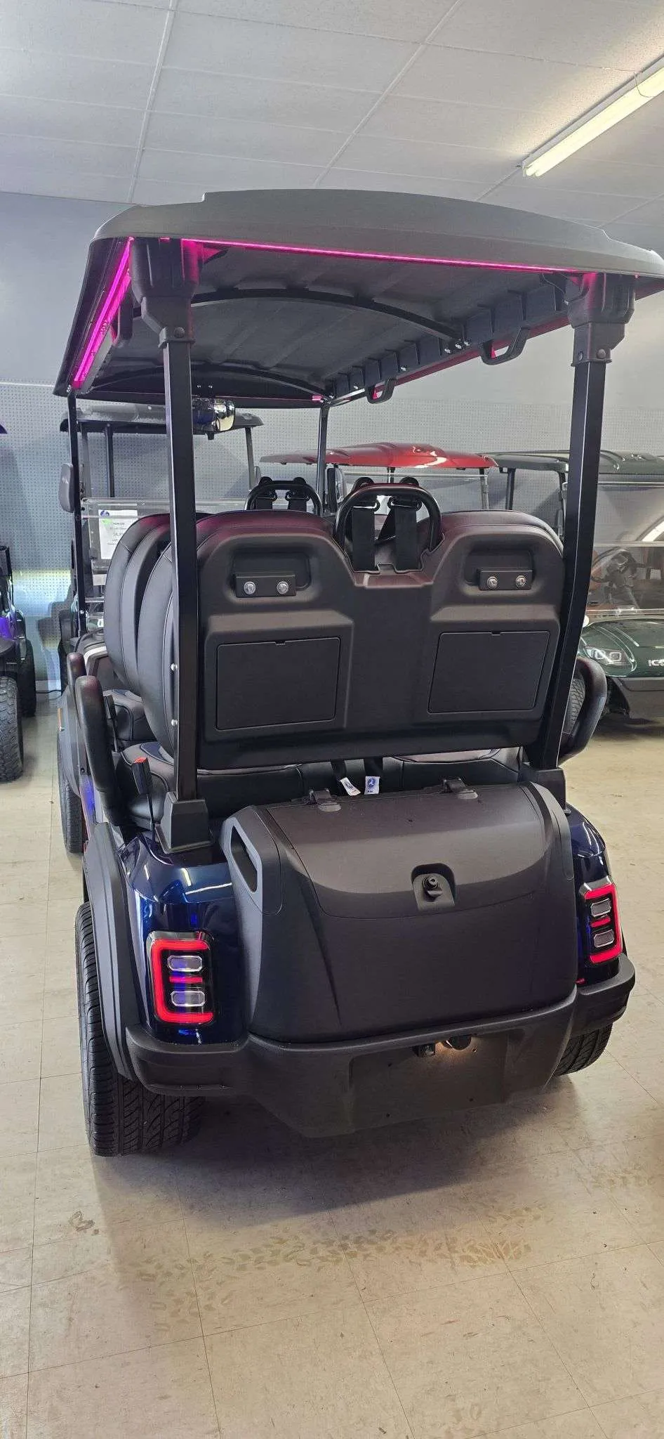2025 Epic Carts E40FX photo 15