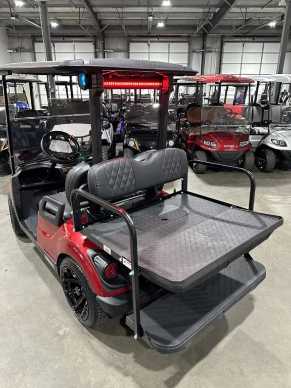 2021 Yamaha Drive2 QuieTech EFI photo 4