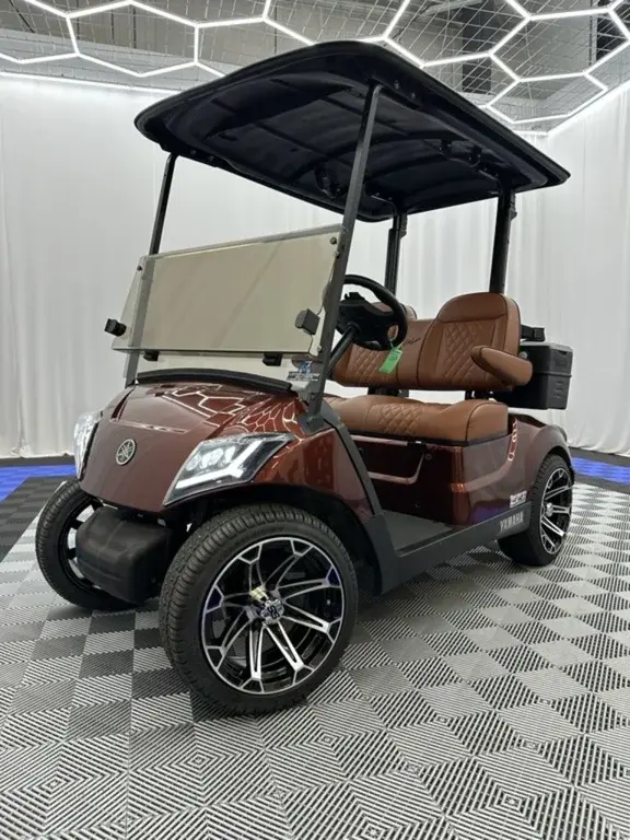 2021 Yamaha Drive2 QuieTech EFI photo 1