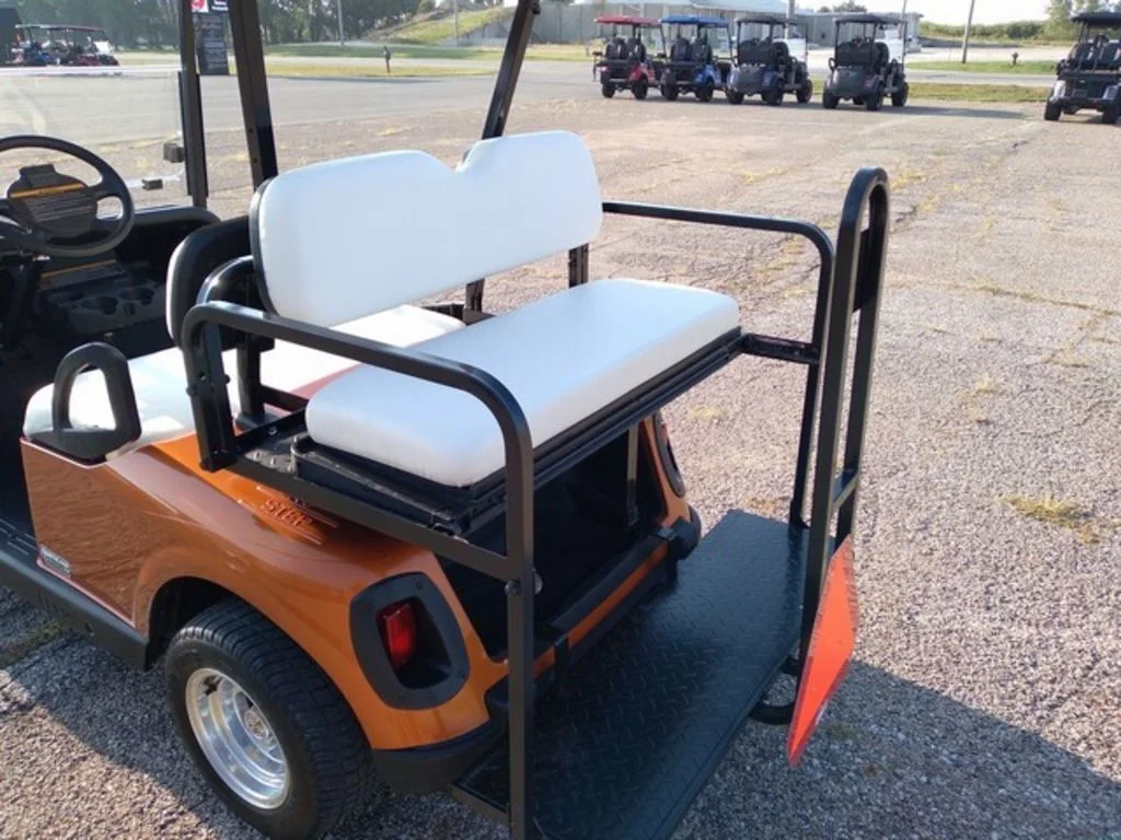 2008 E-Z-GO RXV photo 4