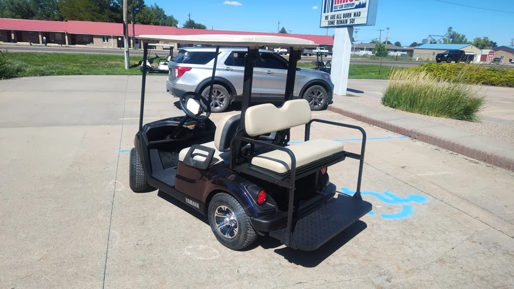 2019 Yamaha Drive2 QuieTech EFI photo 3