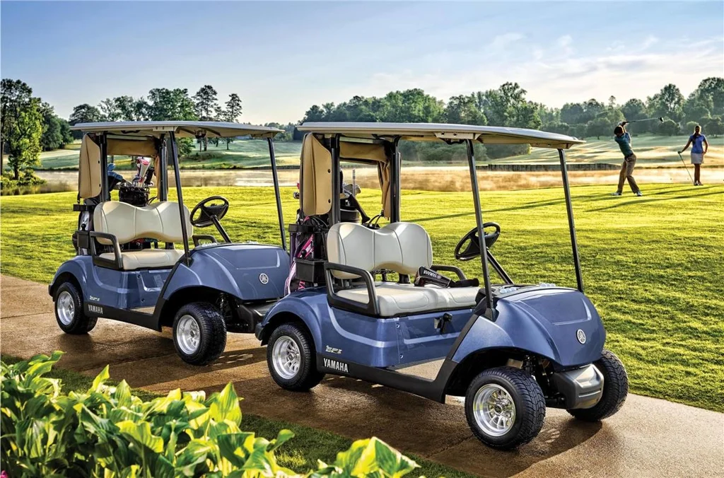 2019 Yamaha Drive2 QuieTech EFI photo 7