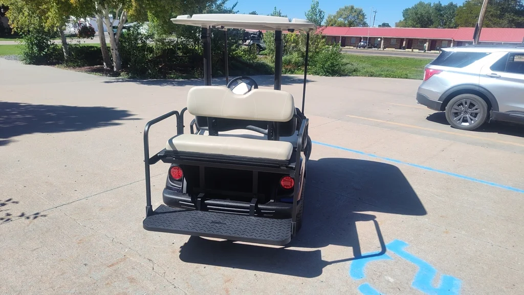 2019 Yamaha Drive2 QuieTech EFI photo 4