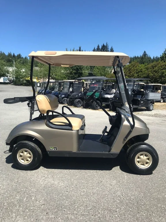 2020 E-Z-GO TXT ELiTE Lithium photo 3