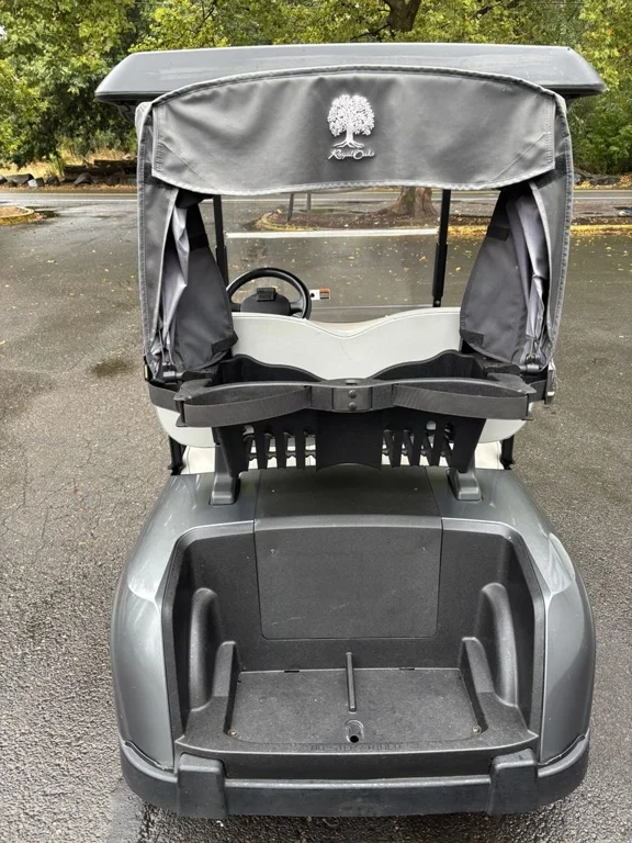 2020 E-Z-GO RXV ELiTE Lithium photo 3