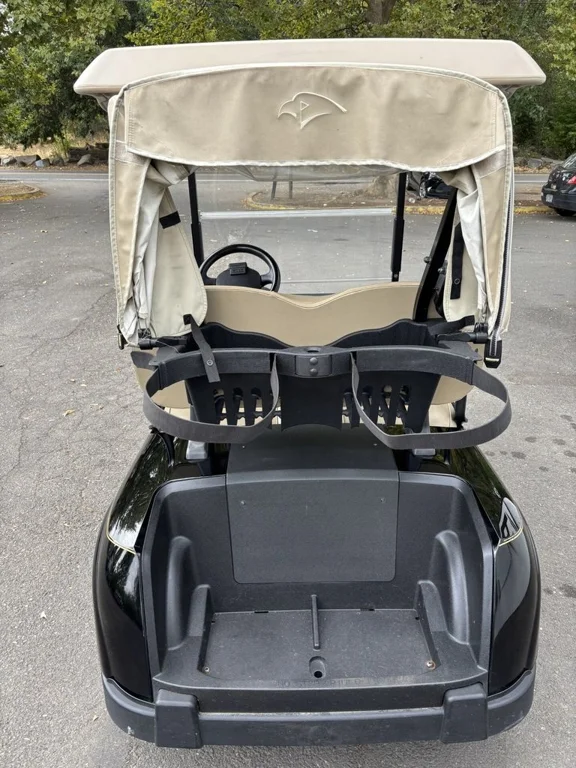 2020 E-Z-GO RXV ELiTE Lithium photo 3