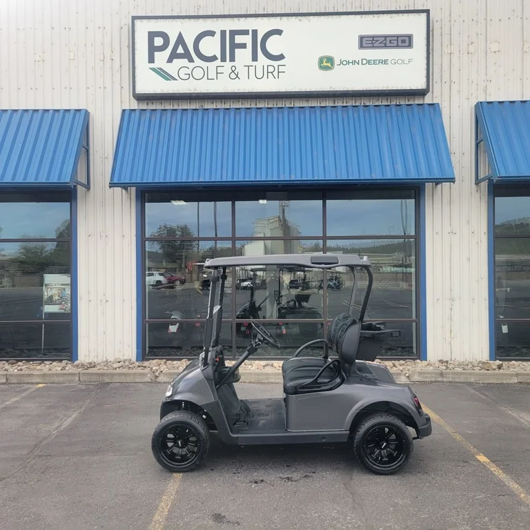 2017 E-Z-GO RXV ELiTE Lithium photo 2