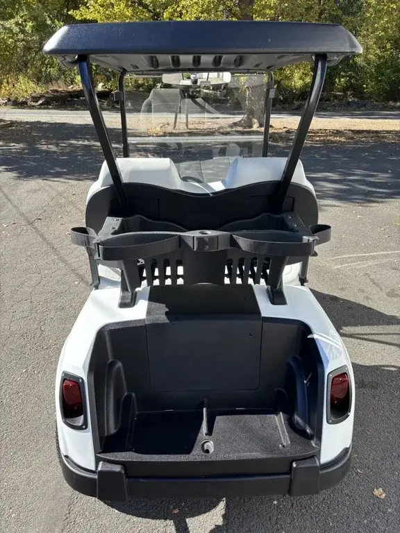 2021 E-Z-GO RXV photo 3