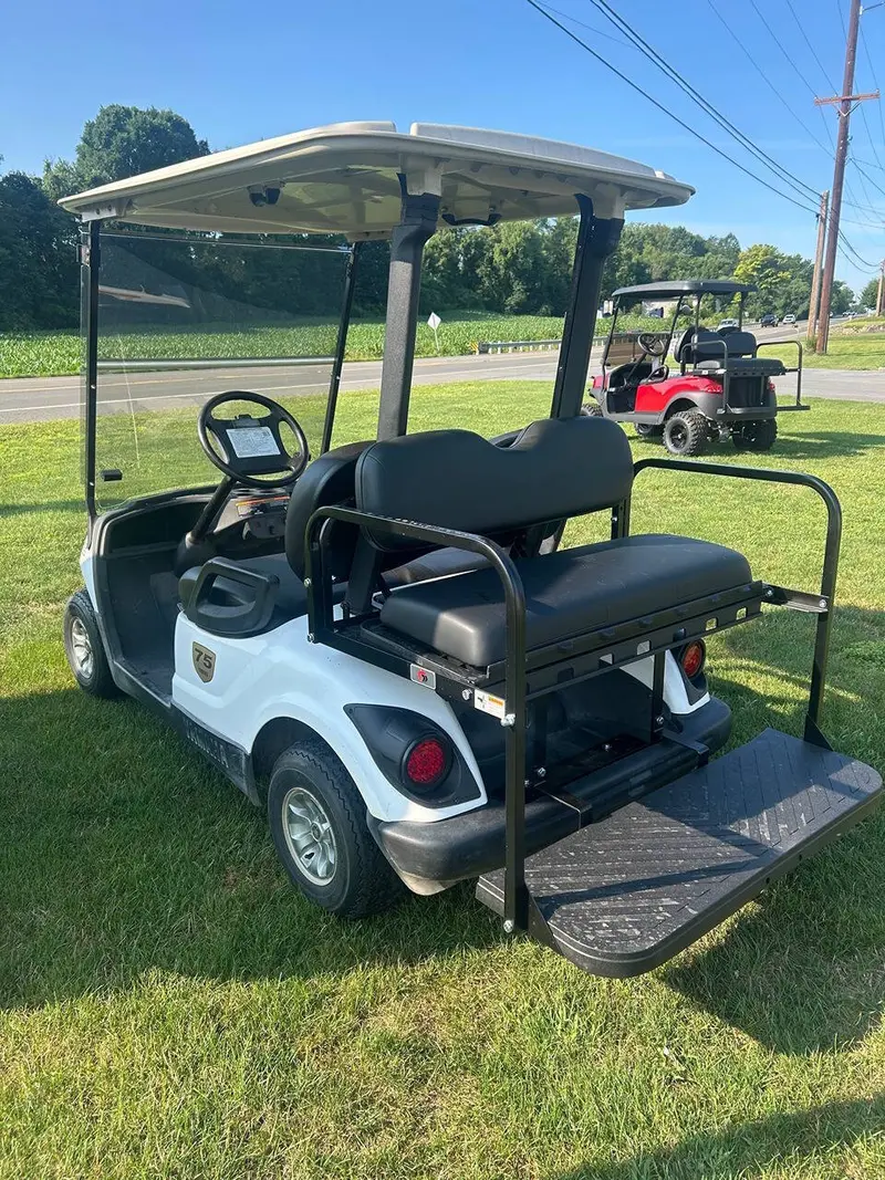 2007 Yamaha Drive Gas photo 6