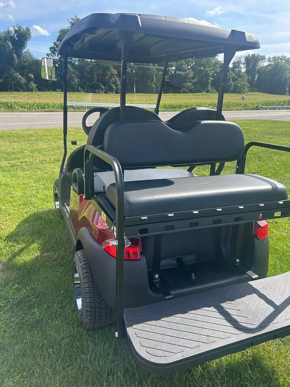 2015 Club Car Precedent Gas photo 6