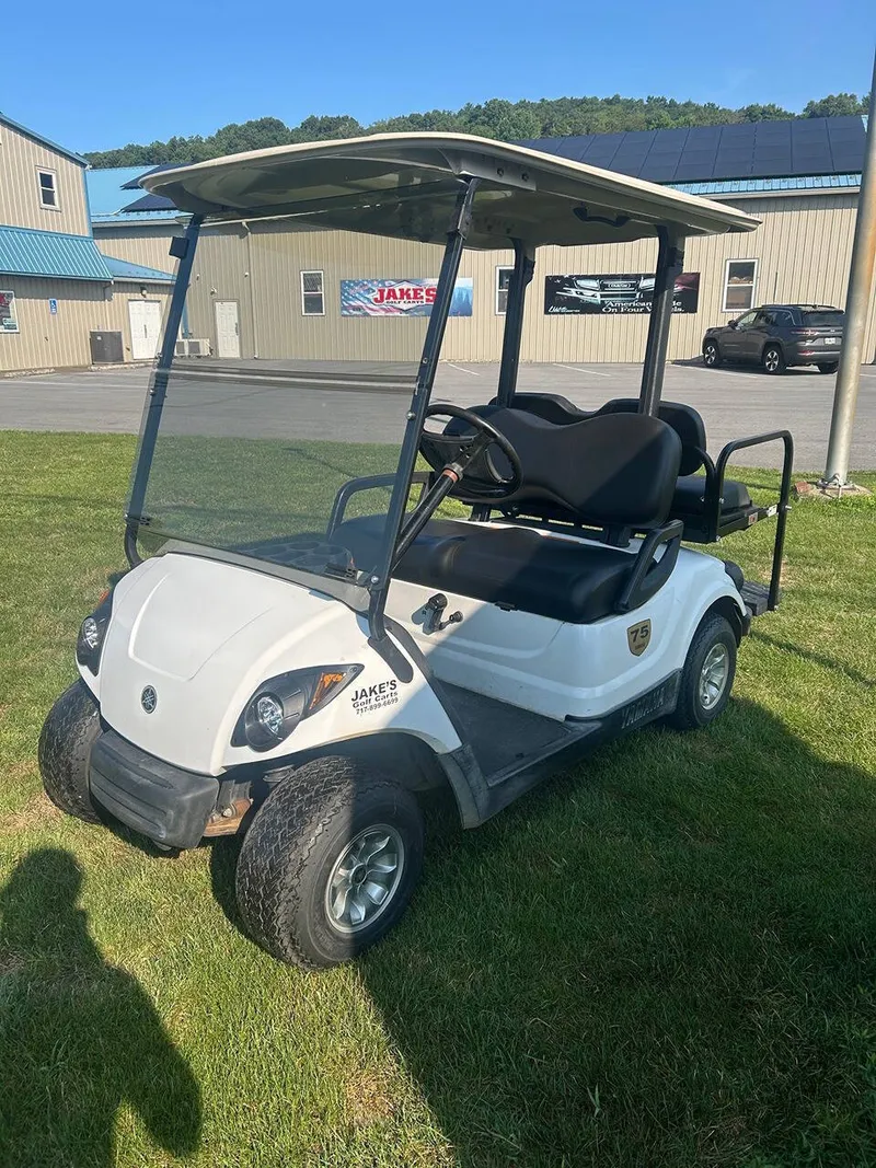 2007 Yamaha Drive Gas photo 7
