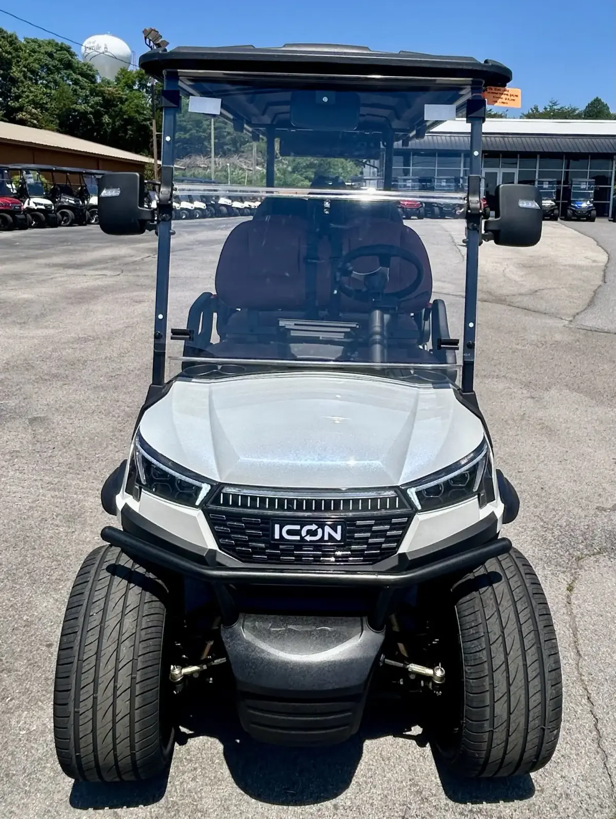 2026 ICON i60LX photo 10