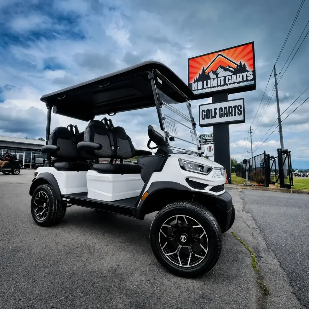Madjax Alpine White photo 1