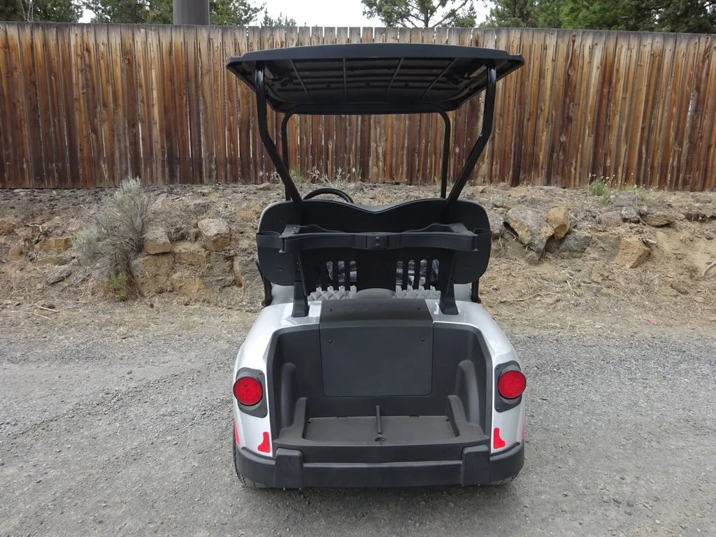 2025 E-Z-GO Freedom photo 3