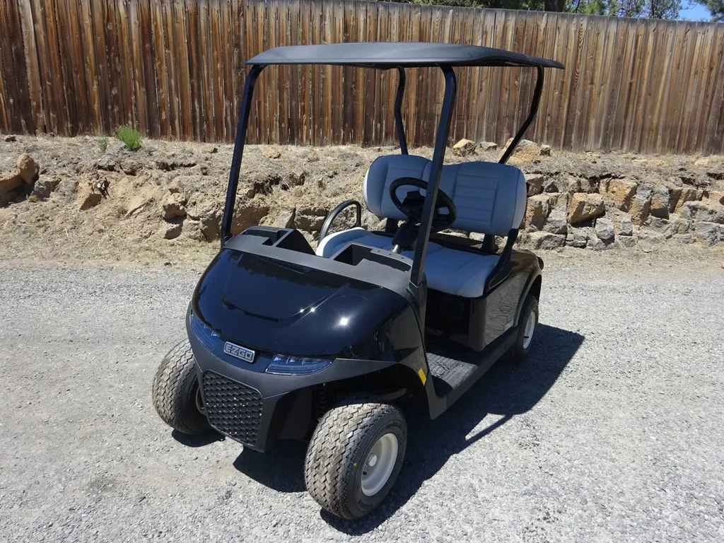 2025 E-Z-GO Freedom photo 5