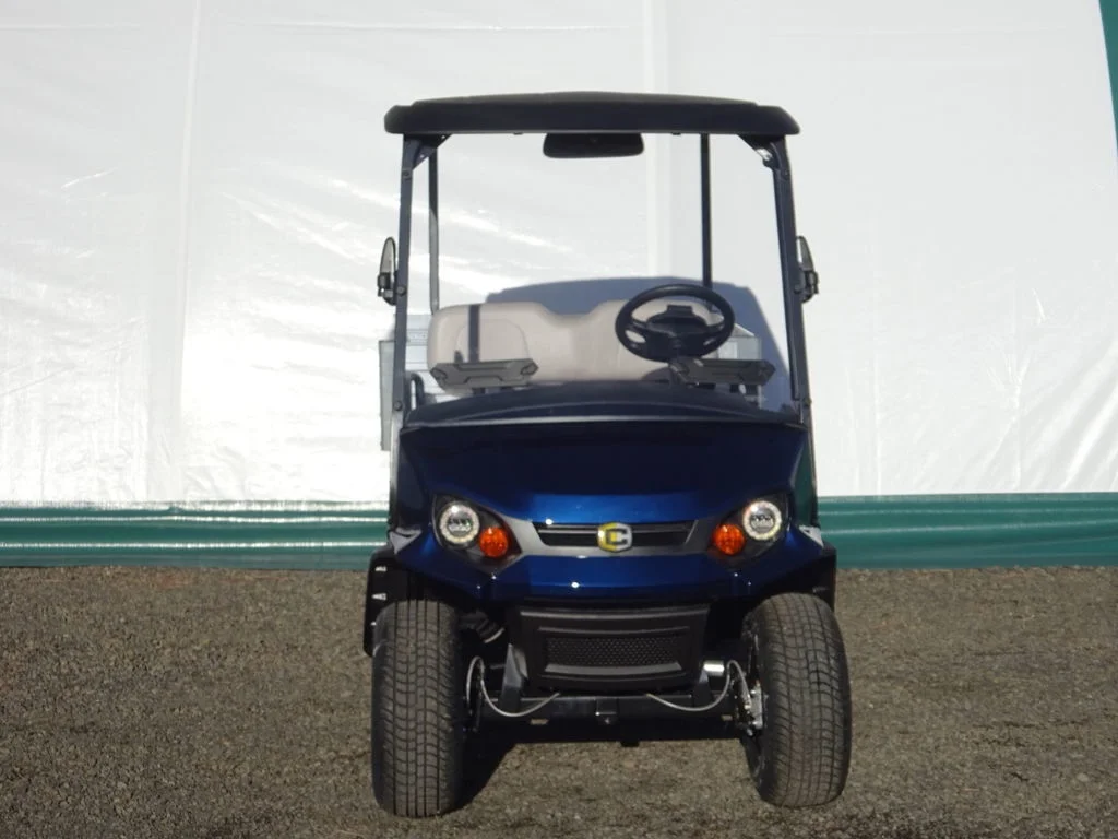 2024 Cushman Hauler PRO LSV photo 2