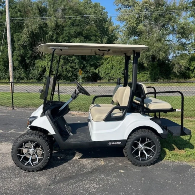 2020 Yamaha Drive2 QuieTech EFI photo 5