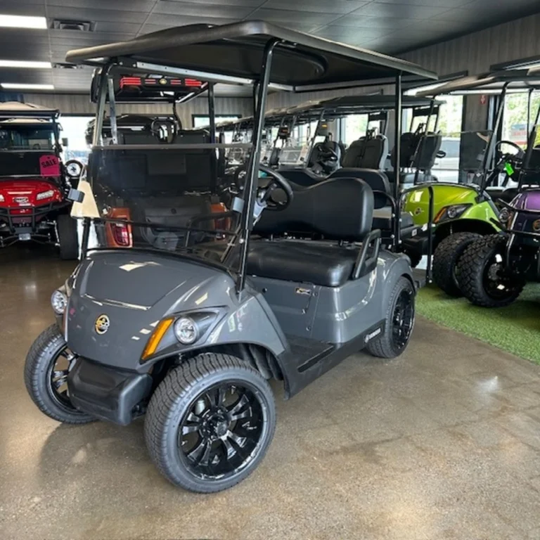 2021 Yamaha Drive2 QuieTech EFI photo 2
