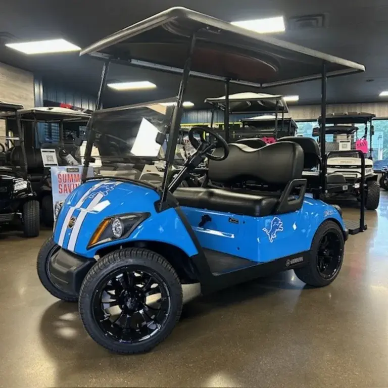 2021 Yamaha Drive2 QuieTech EFI photo 3