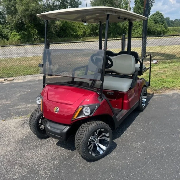 2020 Yamaha Drive2 QuieTech EFI photo 4