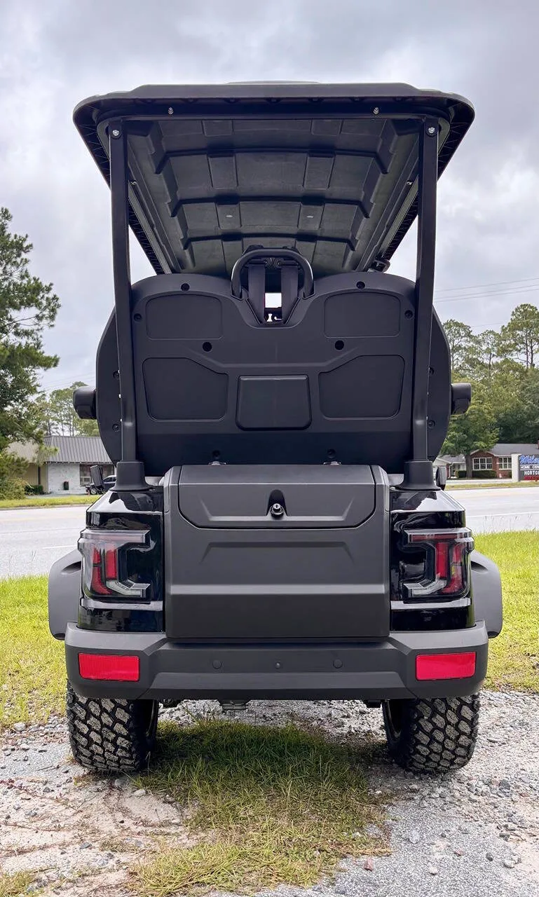 2025 Verdi Forward Facing 4 Seater Golf C Aspen photo 7