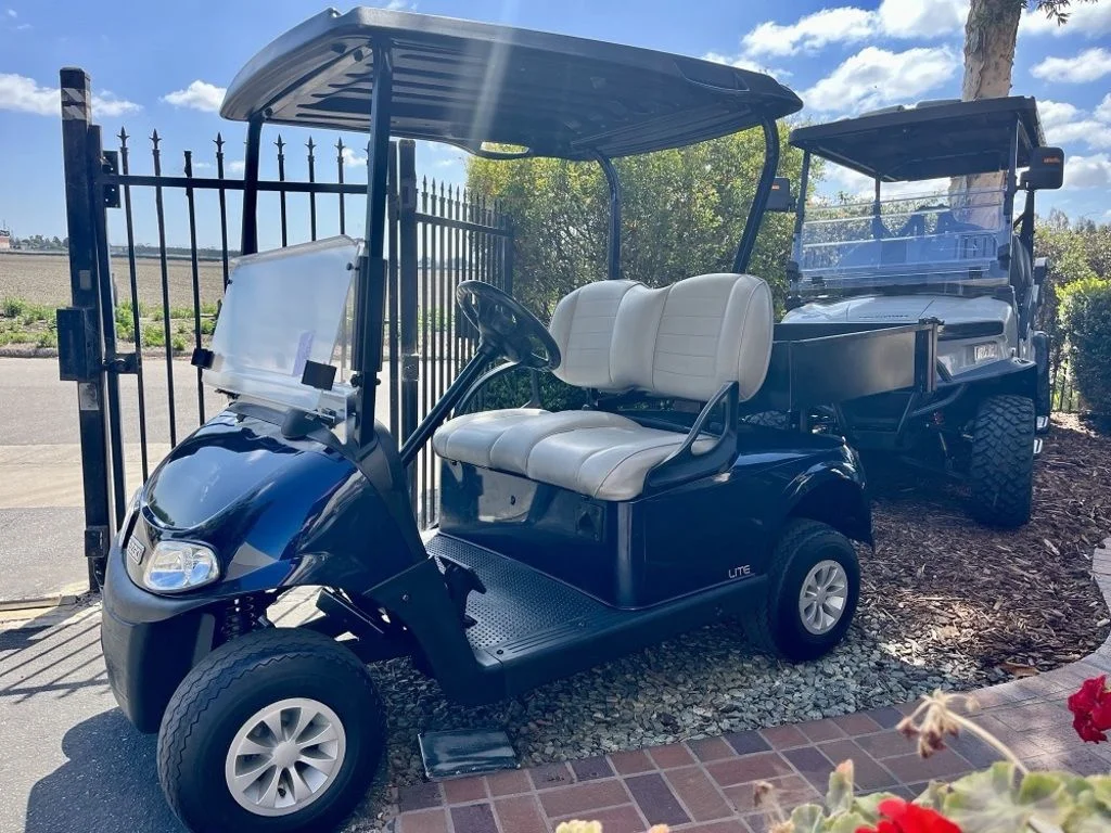 2022 E-Z-GO Freedom photo 2