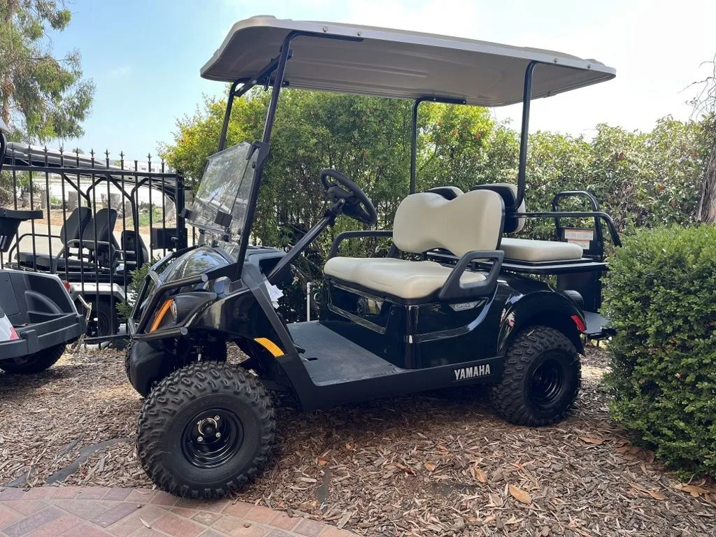 2025 Yamaha Drive2 Adventurer® Sport 2+2 AC photo 2