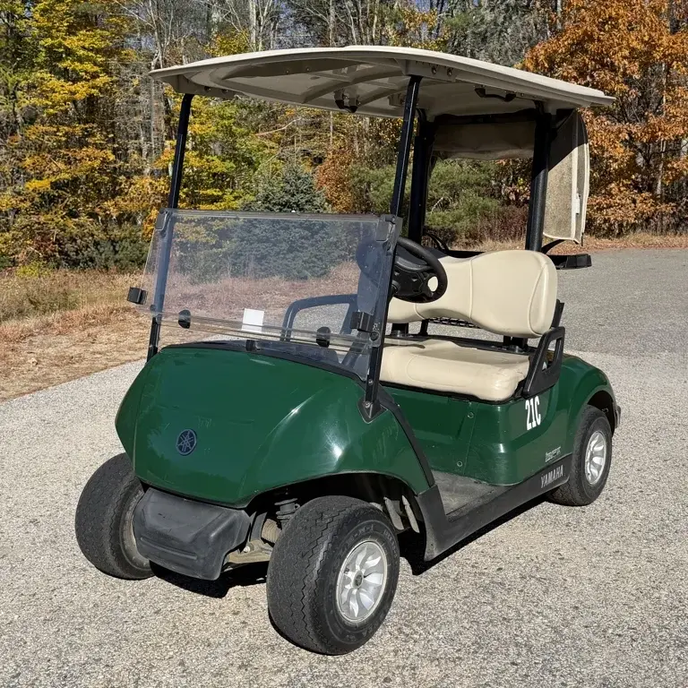 2019 Yamaha Just In! EFI Fuel Injected G29 2 Passenger Golf C photo 4