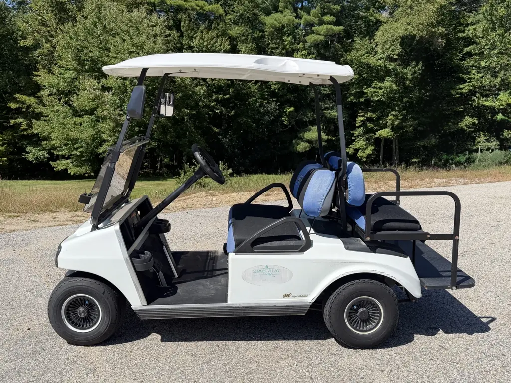 2011 Club Car DS photo 5