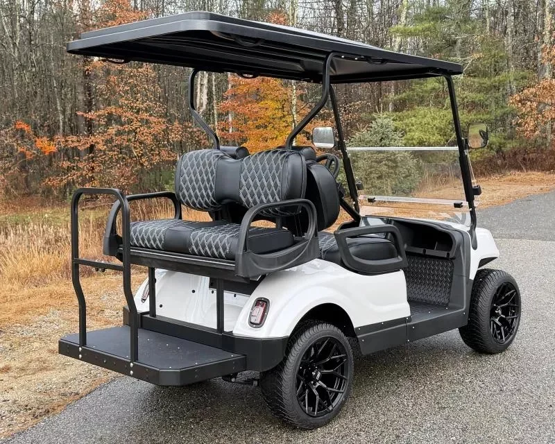 2026 Motive EV End of Summer SPECIAL! M1 4 passenger ECO LITHIUM photo 15