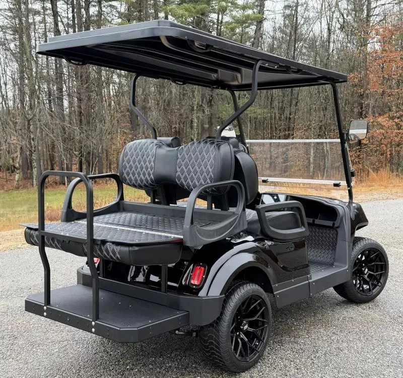 2026 Motive EV End of Summer SPECIAL! M1 4 passenger ECO LITHIUM photo 15