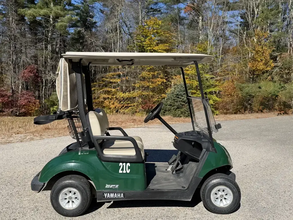 2019 Yamaha Just In!  EFI Fuel Injected G29 2 Passenger Golf C photo 6