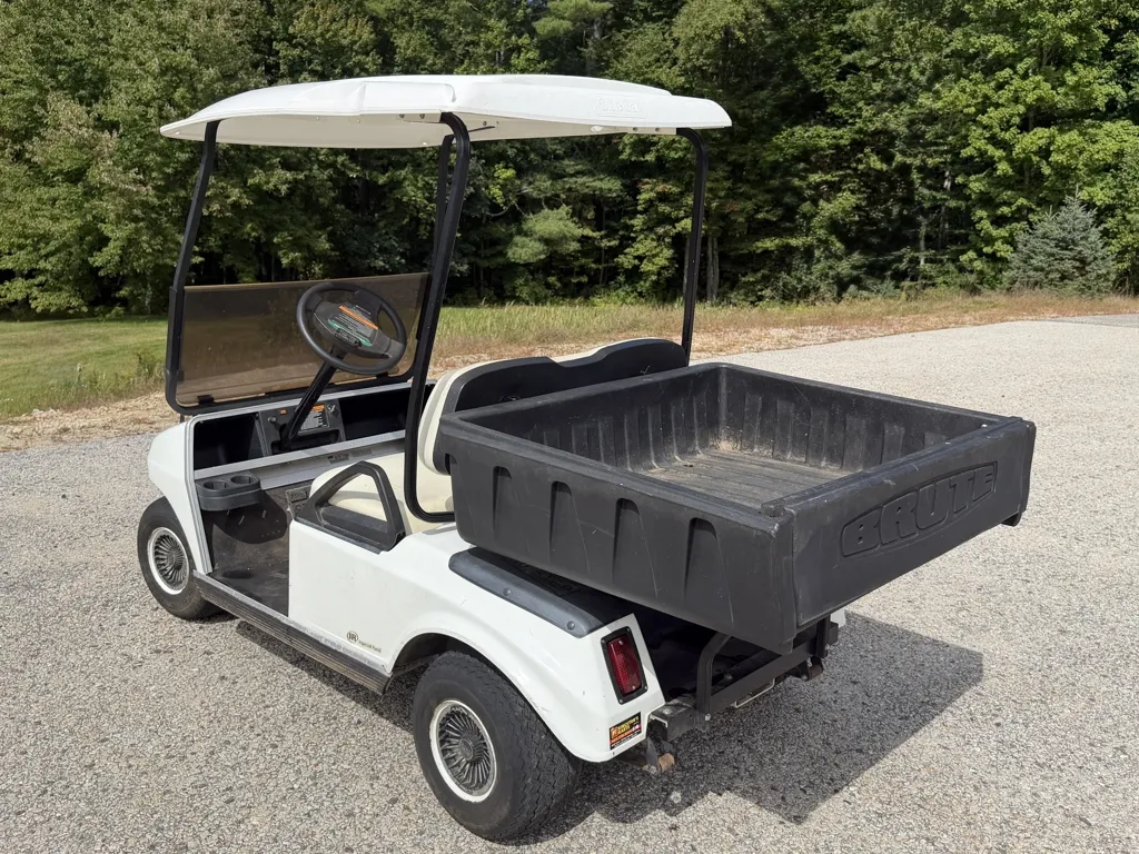 2011 Club Car DS photo 6