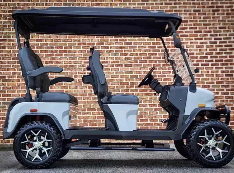 2026 Denago Rover XL photo 7