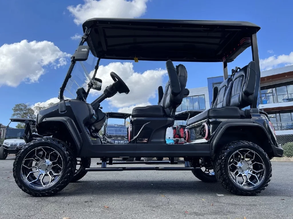 2026 Evolution $232.19/M ZERO DOWN! End Of Year Special! In Stock photo 3