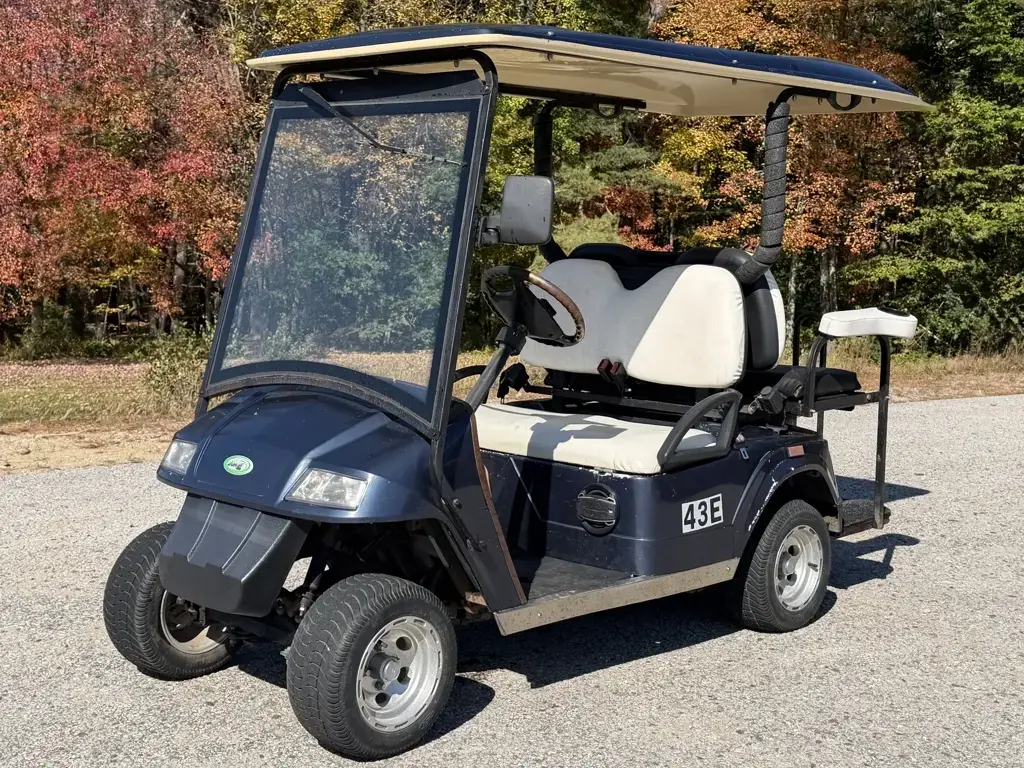 2010 ZONE As Is Special! ZONE EV 4 Passenger Golf Cart In Go photo 1