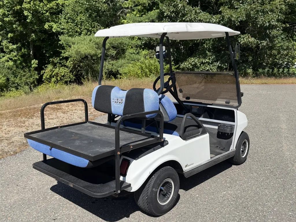 2011 Club Car DS photo 9
