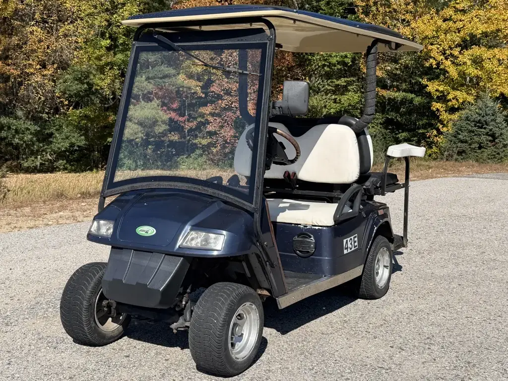 2010 ZONE As Is Special! ZONE EV 4 Passenger Golf Cart In Go photo 2